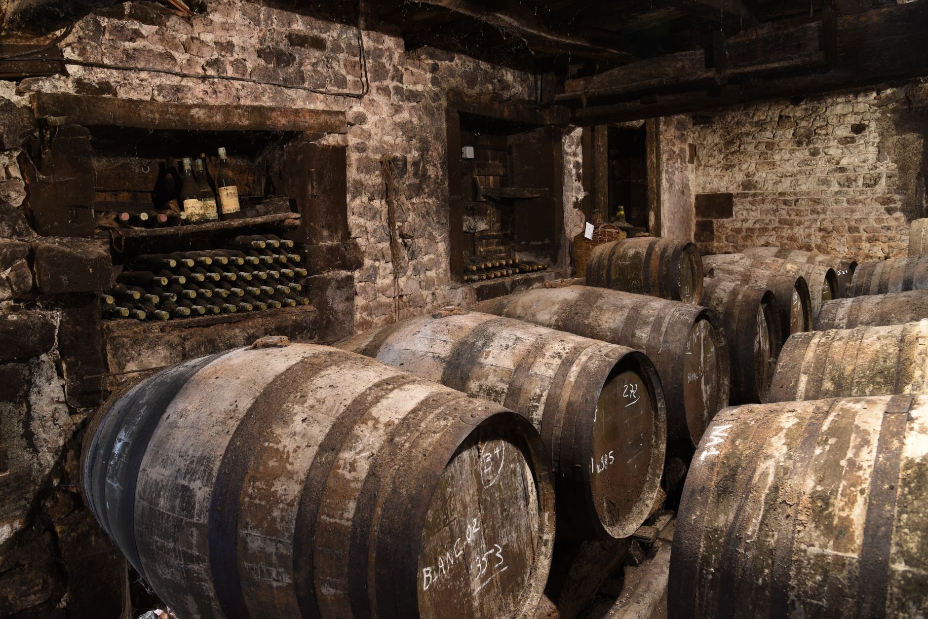 An atmospheric wine cellar featuring wooden barrels and dusty bottles stacked against stone walls.